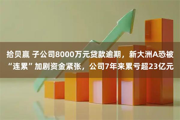 拾贝赢 子公司8000万元贷款逾期，新大洲A恐被“连累”加剧资金紧张，公司7年来累亏超23亿元