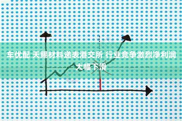 车优配 天赐材料递表港交所 行业竞争激烈净利润大幅下滑