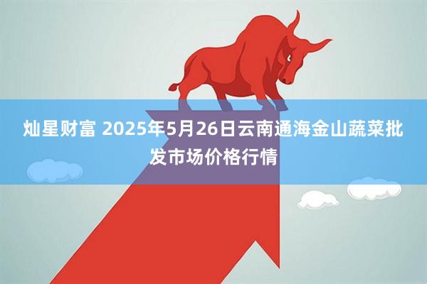 灿星财富 2025年5月26日云南通海金山蔬菜批发市场价格行情