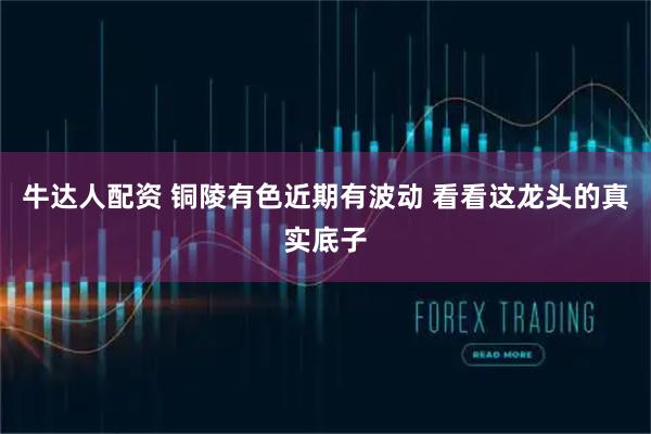 牛达人配资 铜陵有色近期有波动 看看这龙头的真实底子