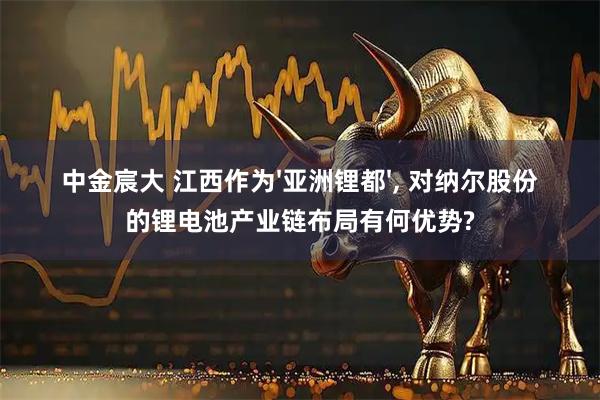 中金宸大 江西作为'亚洲锂都', 对纳尔股份的锂电池产业链布局有何优势?