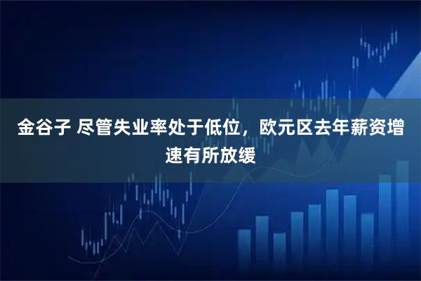 金谷子 尽管失业率处于低位，欧元区去年薪资增速有所放缓