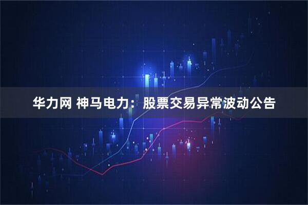 华力网 神马电力：股票交易异常波动公告